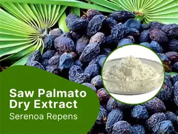 What is Organic Saw Palmetto Extract used for?